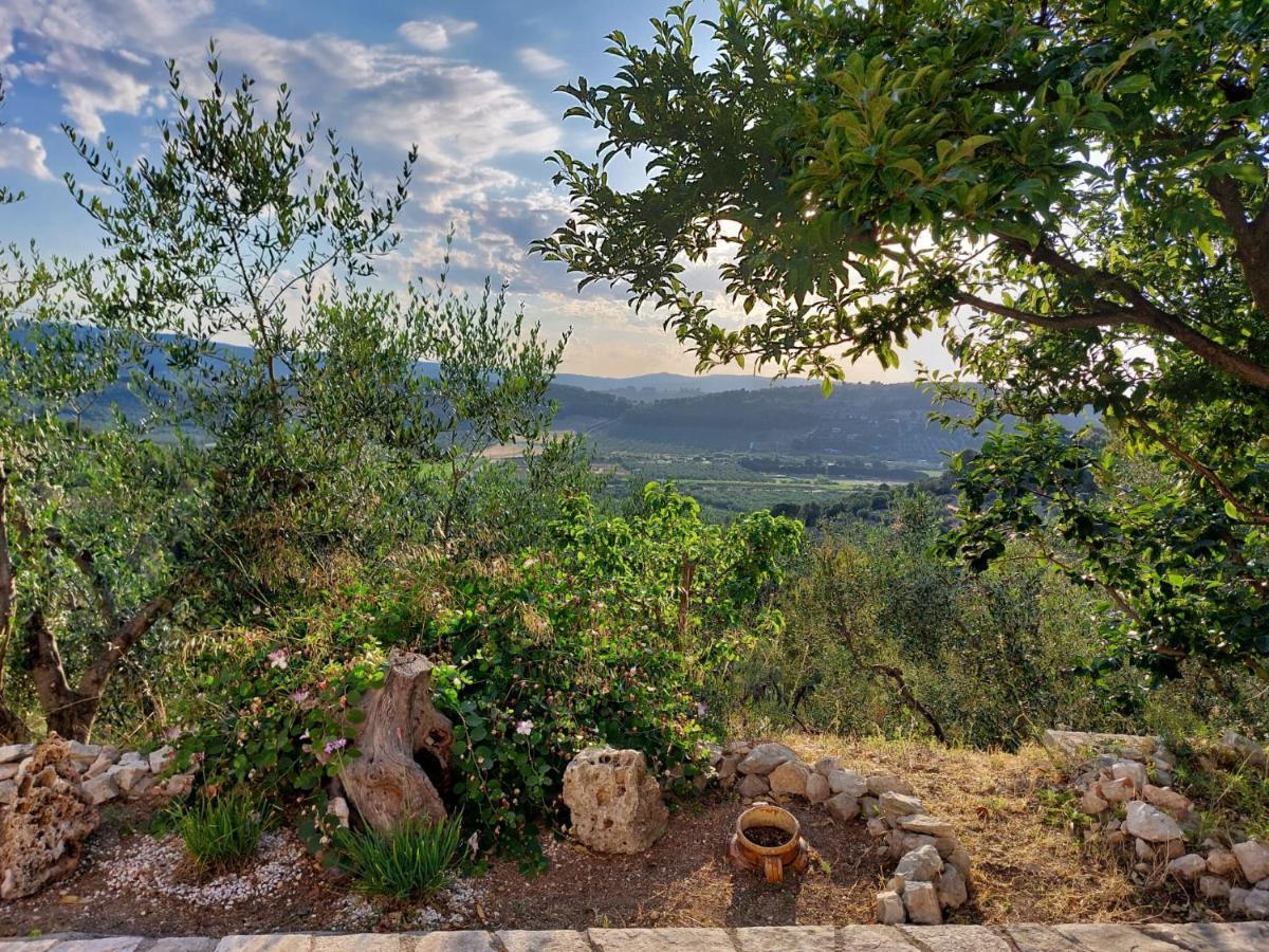 B&B Villa Maria Ester Βιέστε Εξωτερικό φωτογραφία