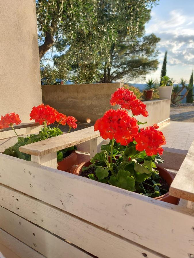 B&B Villa Maria Ester Βιέστε Εξωτερικό φωτογραφία